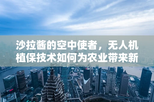 沙拉酱的空中使者，无人机植保技术如何为农业带来新风味？