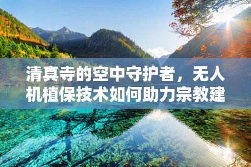 清真寺的空中守护者，无人机植保技术如何助力宗教建筑保护？