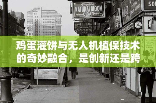 鸡蛋灌饼与无人机植保技术的奇妙融合，是创新还是跨界？