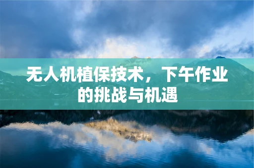 无人机植保技术，下午作业的挑战与机遇