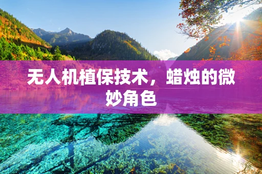 无人机植保技术，蜡烛的微妙角色