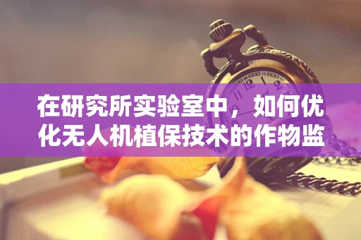 在研究所实验室中，如何优化无人机植保技术的作物监测精度？