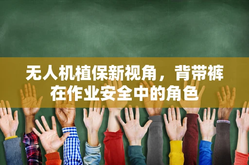 无人机植保新视角，背带裤在作业安全中的角色