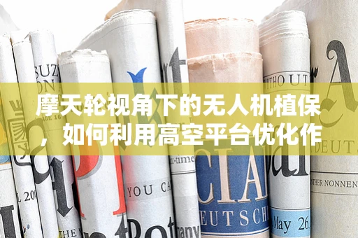 摩天轮视角下的无人机植保，如何利用高空平台优化作物监测？