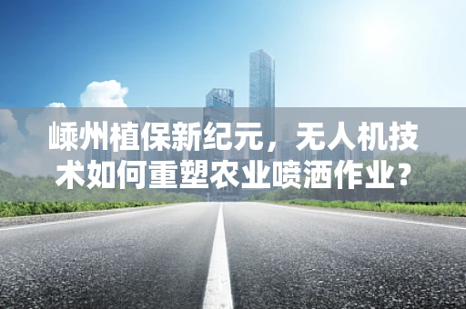 嵊州植保新纪元，无人机技术如何重塑农业喷洒作业？