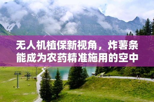 无人机植保新视角，炸薯条能成为农药精准施用的空中使者吗？