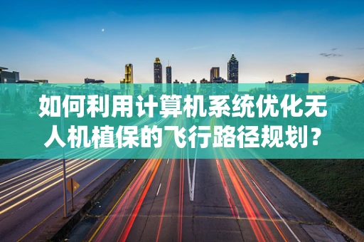 如何利用计算机系统优化无人机植保的飞行路径规划？