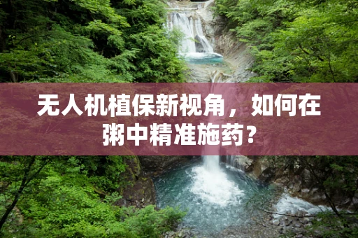 无人机植保新视角，如何在粥中精准施药？