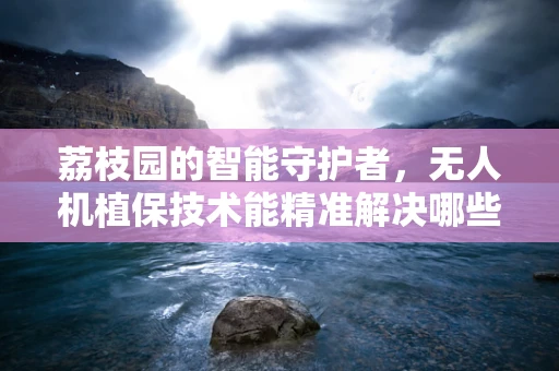 荔枝园的智能守护者，无人机植保技术能精准解决哪些荔枝种植难题？