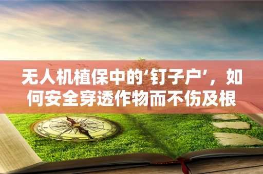 无人机植保中的‘钉子户’，如何安全穿透作物而不伤及根本？