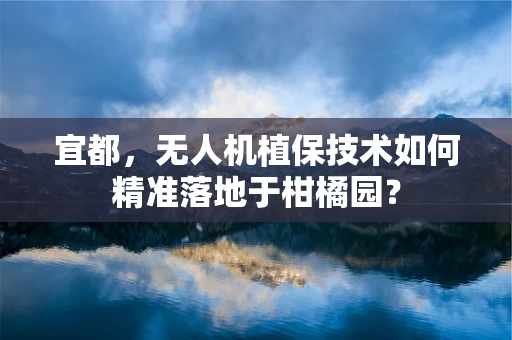 宜都，无人机植保技术如何精准落地于柑橘园？
