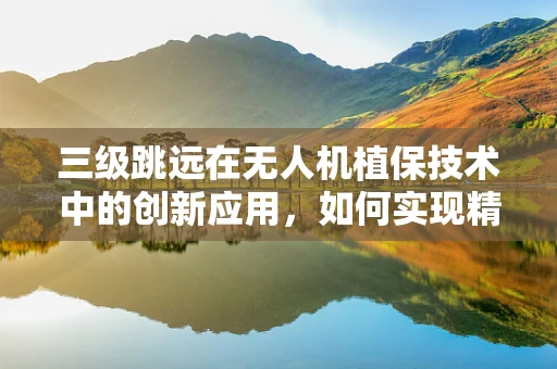 三级跳远在无人机植保技术中的创新应用，如何实现精准施药与高效作业的完美结合？