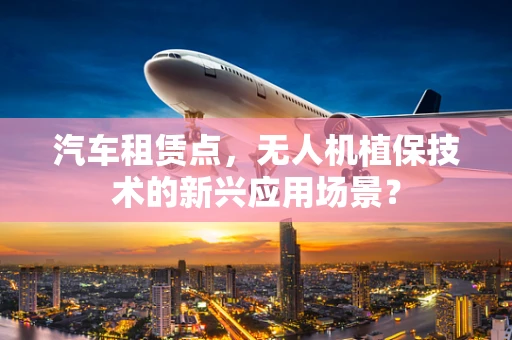 汽车租赁点，无人机植保技术的新兴应用场景？