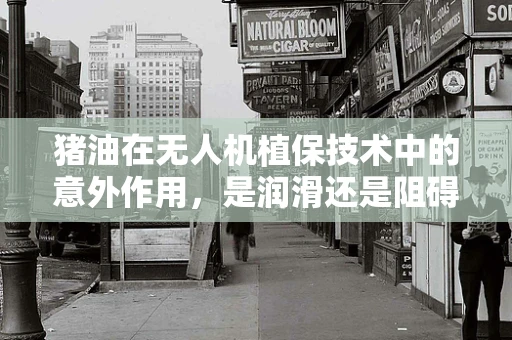 猪油在无人机植保技术中的意外作用，是润滑还是阻碍？