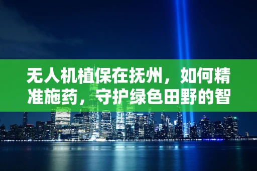 无人机植保在抚州，如何精准施药，守护绿色田野的智慧之问？