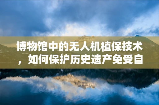 博物馆中的无人机植保技术，如何保护历史遗产免受自然侵害？