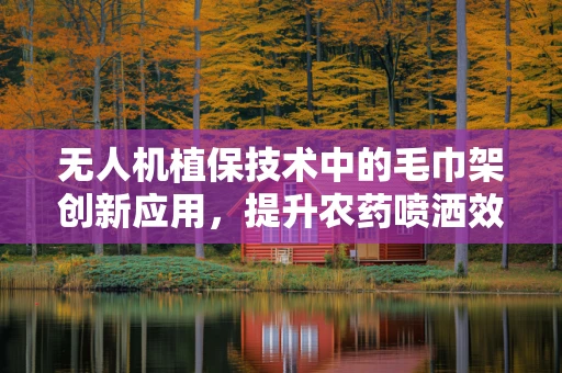 无人机植保技术中的毛巾架创新应用，提升农药喷洒效率的巧妙设计？