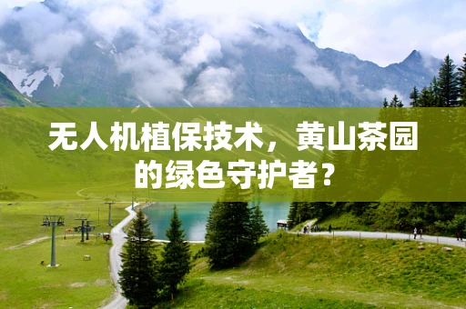 无人机植保技术，黄山茶园的绿色守护者？