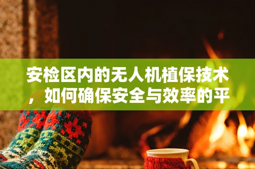 安检区内的无人机植保技术，如何确保安全与效率的平衡？