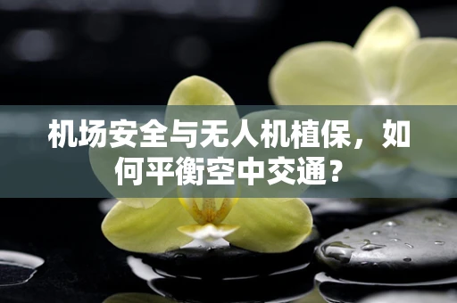 机场安全与无人机植保，如何平衡空中交通？