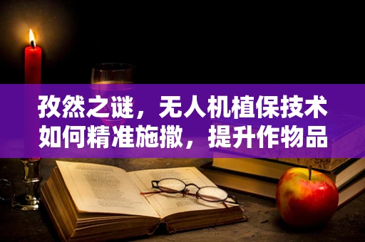 孜然之谜，无人机植保技术如何精准施撒，提升作物品质？