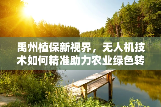 禹州植保新视界，无人机技术如何精准助力农业绿色转型？