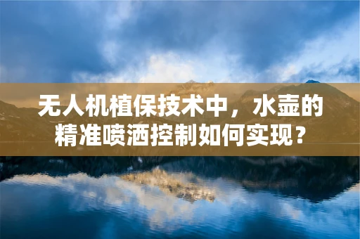 无人机植保技术中，水壶的精准喷洒控制如何实现？