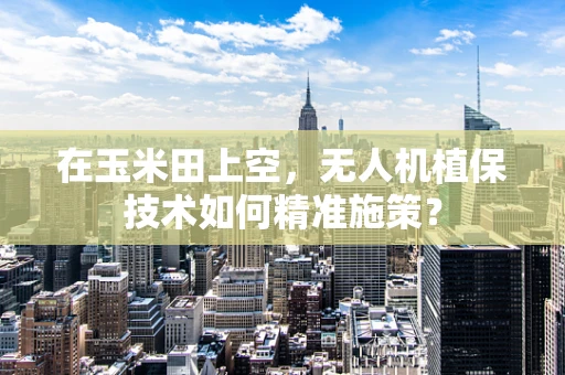 在玉米田上空，无人机植保技术如何精准施策？