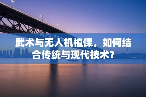 武术与无人机植保，如何结合传统与现代技术？