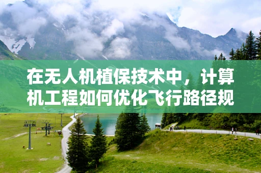 在无人机植保技术中，计算机工程如何优化飞行路径规划？