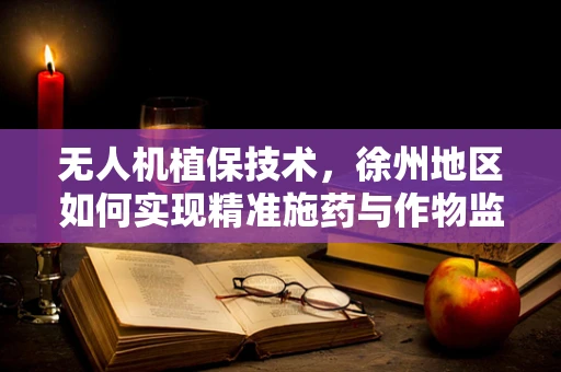 无人机植保技术，徐州地区如何实现精准施药与作物监测？