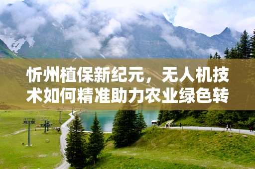 忻州植保新纪元，无人机技术如何精准助力农业绿色转型？