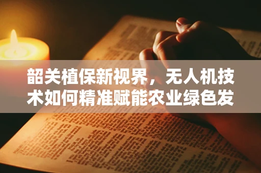 韶关植保新视界，无人机技术如何精准赋能农业绿色发展？