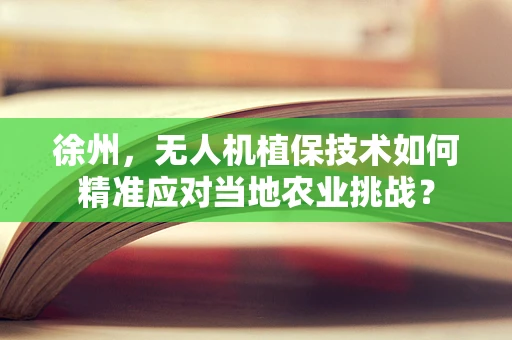 徐州，无人机植保技术如何精准应对当地农业挑战？