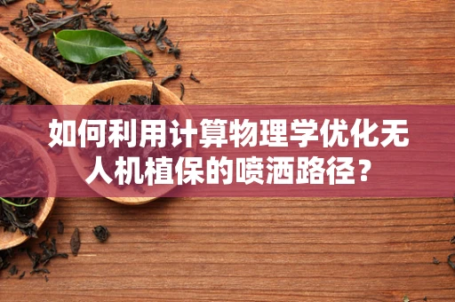 如何利用计算物理学优化无人机植保的喷洒路径？