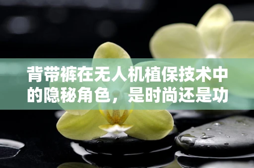 背带裤在无人机植保技术中的隐秘角色，是时尚还是功能？