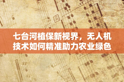 七台河植保新视界，无人机技术如何精准助力农业绿色转型？