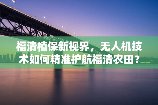 福清植保新视界，无人机技术如何精准护航福清农田？