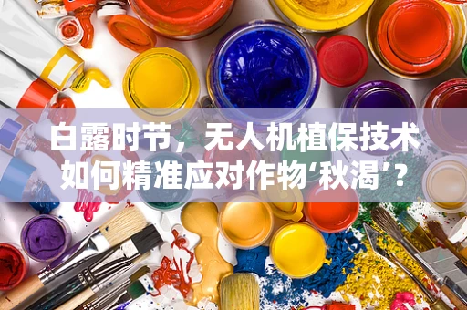 白露时节，无人机植保技术如何精准应对作物‘秋渴’？