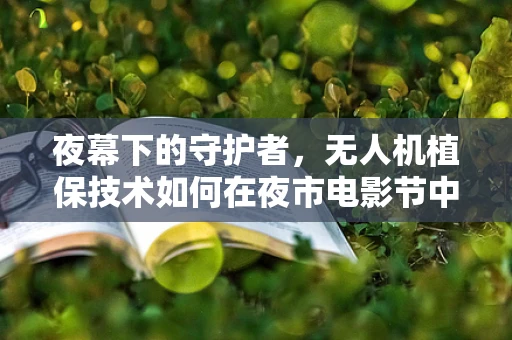 夜幕下的守护者，无人机植保技术如何在夜市电影节中安全护航？