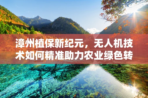 漳州植保新纪元，无人机技术如何精准助力农业绿色转型？
