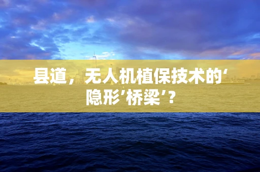 县道，无人机植保技术的‘隐形’桥梁’？