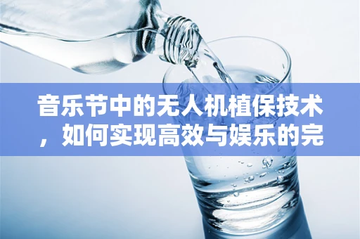 音乐节中的无人机植保技术，如何实现高效与娱乐的完美融合？