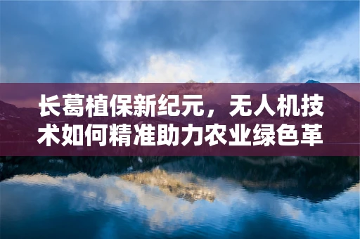 长葛植保新纪元，无人机技术如何精准助力农业绿色革命？