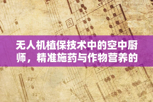 无人机植保技术中的空中厨师，精准施药与作物营养的微妙平衡