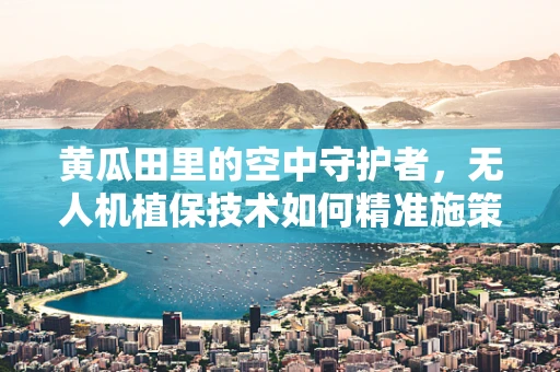 黄瓜田里的空中守护者，无人机植保技术如何精准施策？