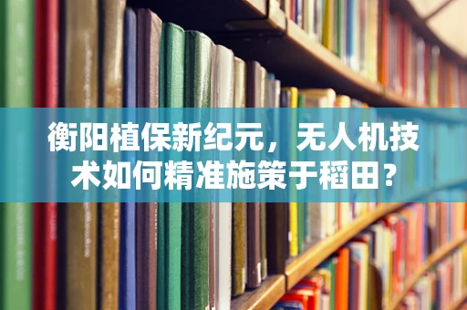 衡阳植保新纪元，无人机技术如何精准施策于稻田？