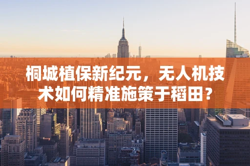桐城植保新纪元，无人机技术如何精准施策于稻田？