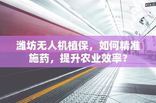 潍坊无人机植保，如何精准施药，提升农业效率？