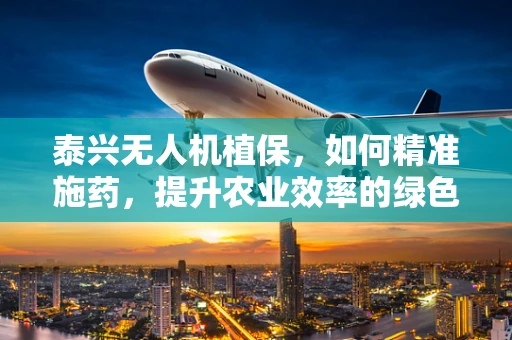 泰兴无人机植保，如何精准施药，提升农业效率的绿色路径？